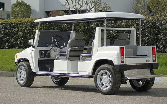 affordable golf cart rental, golf cart rent ocean reef