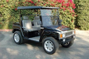 affordable golf cart rental, golf cart rent ocean reef